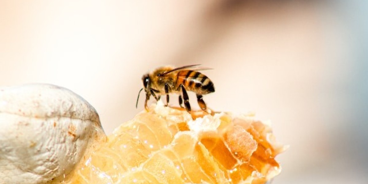 Honey as a medicine
